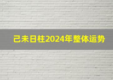 己未日柱2024年整体运势,己未日柱2024年运势