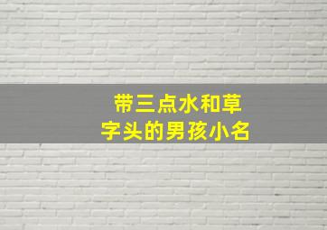 带三点水和草字头的男孩小名,带三点水和草字头的字男孩用