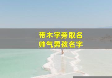 带木字旁取名帅气男孩名字,带木字旁取名帅气男孩名字大全