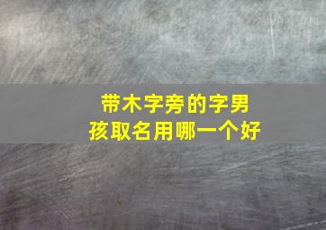 带木字旁的字男孩取名用哪一个好,好听的带木字旁男孩名字有哪些