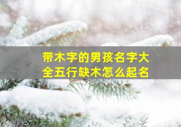 带木字的男孩名字大全五行缺木怎么起名,带木的男孩名字寓意好