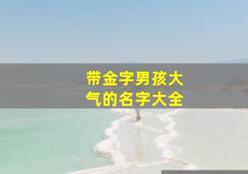 带金字男孩大气的名字大全,带金字的洋气男孩名字简单