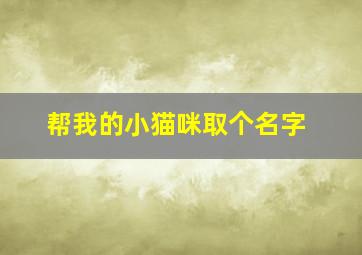 帮我的小猫咪取个名字,帮我的小猫咪取个名字吧