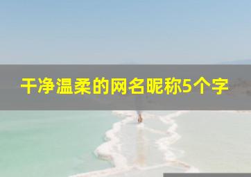 干净温柔的网名昵称5个字,干净温柔的网名昵称5个字男