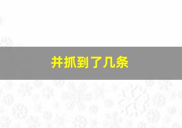 并抓到了几条,梦见抓了几条大鱼的预兆