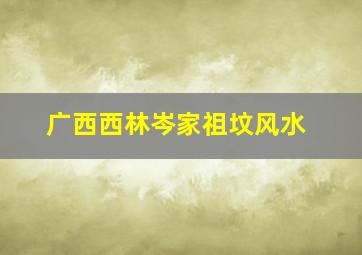 广西西林岑家祖坟风水,广西西林岑家祖坟风水如何