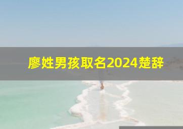 廖姓男孩取名2024楚辞,