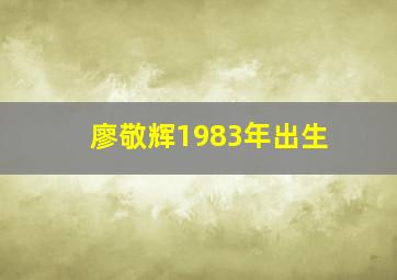 廖敬辉1983年出生