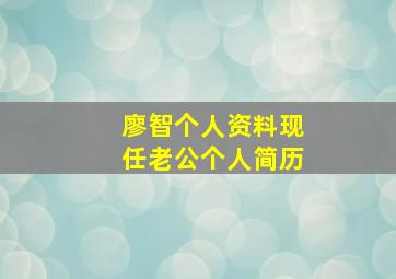 廖智个人资料现任老公个人简历,廖智慧个人资料