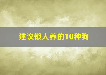 建议懒人养的10种狗,最聪明最爱干净