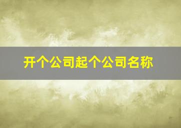 开个公司起个公司名称,怎样起公司名字