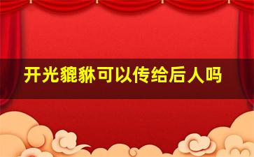 开光貔貅可以传给后人吗,请来的貔貅可以在送回去吗