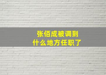 张佰成被调到什么地方任职了,张百城简历