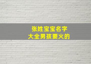 张姓宝宝名字大全男孩要火的,2024张姓宝宝名字大全男孩