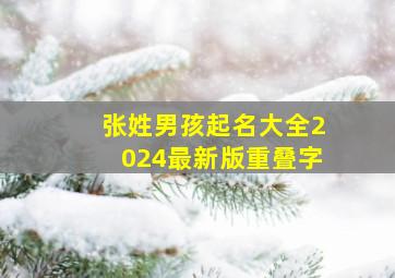 张姓男孩起名大全2024最新版重叠字,张姓男孩起名大全2024很潮的名字