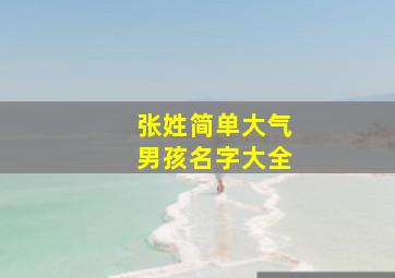 张姓简单大气男孩名字大全,张姓男孩大气有涵养的名字