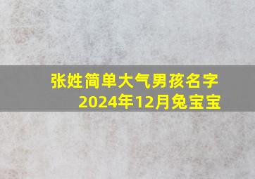 张姓简单大气男孩名字2024年12月兔宝宝,张姓简单大气男孩名字2024年12月兔宝宝起名