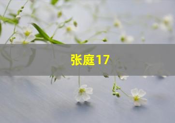 张庭17,张庭17亿豪宅