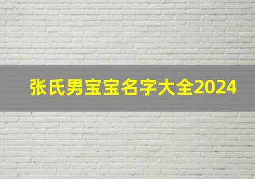 张氏男宝宝名字大全2024