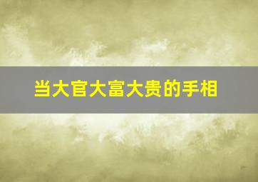 当大官大富大贵的手相,做大官的手相