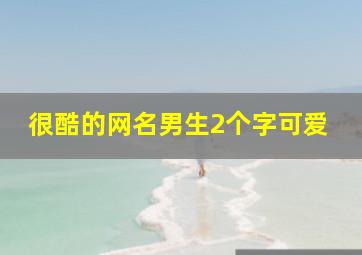 很酷的网名男生2个字可爱,酷酷的网名男生2个字