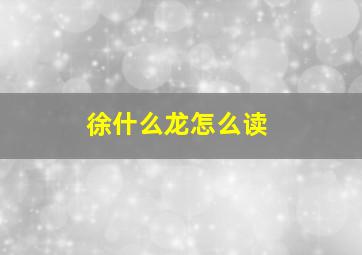 徐什么龙怎么读,徐龙的徐怎么写