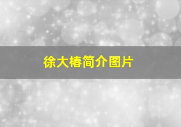 徐大椿简介图片,徐大椿著作