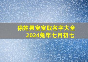 徐姓男宝宝取名字大全2024兔年七月初七,徐姓男宝宝名字大全2024