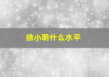 徐小明什么水平,徐小明地位