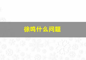 徐鸣什么问题,徐鸣履历