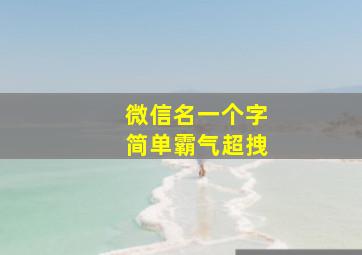 微信名一个字简单霸气超拽,2024年微信名一个字