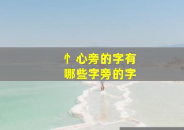 忄心旁的字有哪些字旁的字,忄心旁的偏旁还有什么?