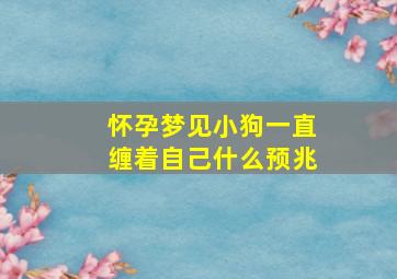 怀孕梦见小狗一直缠着自己什么预兆,孕妇梦到小狗一直缠着自己