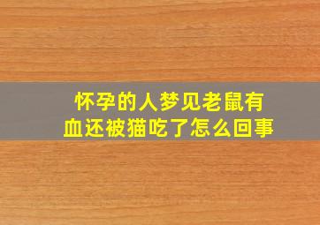 怀孕的人梦见老鼠有血还被猫吃了怎么回事,孕妇梦见老鼠被猫吃了是什么意思