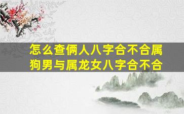 怎么查俩人八字合不合属狗男与属龙女八字合不合,属狗男和属龙女的适合做夫妻吗