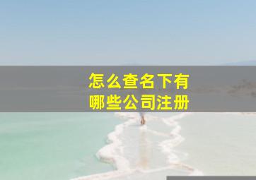 怎么查名下有哪些公司注册,怎么查询名下有几家公司