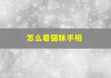 怎么看猫咪手相,怎么看猫咪手相好不好