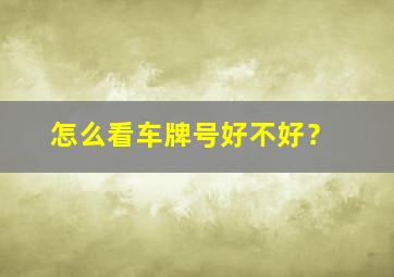 怎么看车牌号好不好？