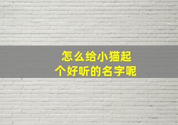 怎么给小猫起个好听的名字呢,怎么给小猫取名字可爱