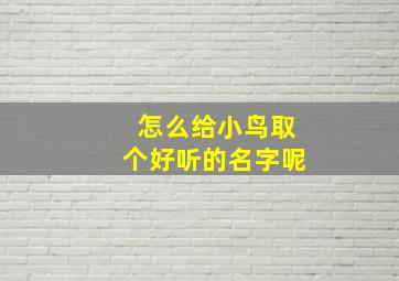 怎么给小鸟取个好听的名字呢,给小鸟起个名字叫什么名字好