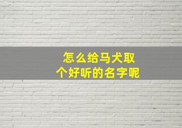 怎么给马犬取个好听的名字呢,怎么给马犬取个好听的名字呢男生