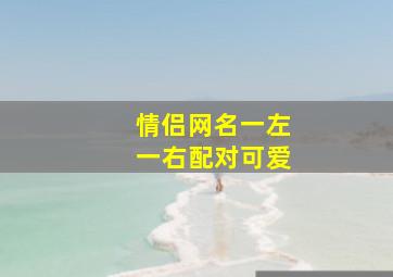 情侣网名一左一右配对可爱,可爱的情侣名字