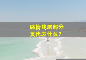 感情线尾部分叉代表什么？,什么叫二婚线