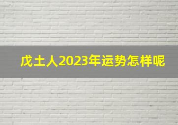 戊土人2023年运势怎样呢,2023年三月一日出生的婴儿活泼外向命里带财