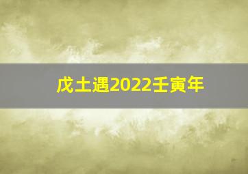 戊土遇2022壬寅年,