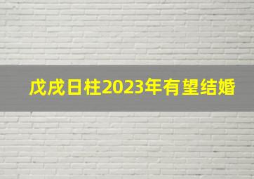 戊戌日柱2023年有望结婚,属狗人2023年哪月婚运最好最佳结婚月份