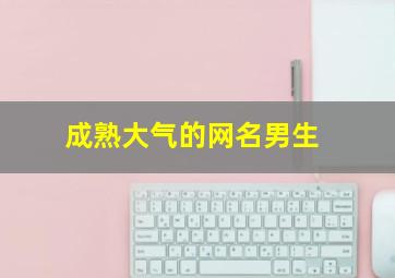 成熟大气的网名男生,成熟的网名男生网名