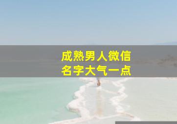 成熟男人微信名字大气一点,成熟男人微信名字大全男