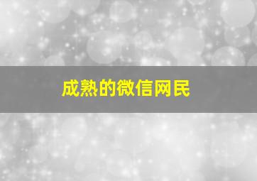 成熟的微信网民,男生微信昵称成熟稳重