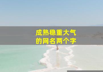 成熟稳重大气的网名两个字,成熟网名2个字